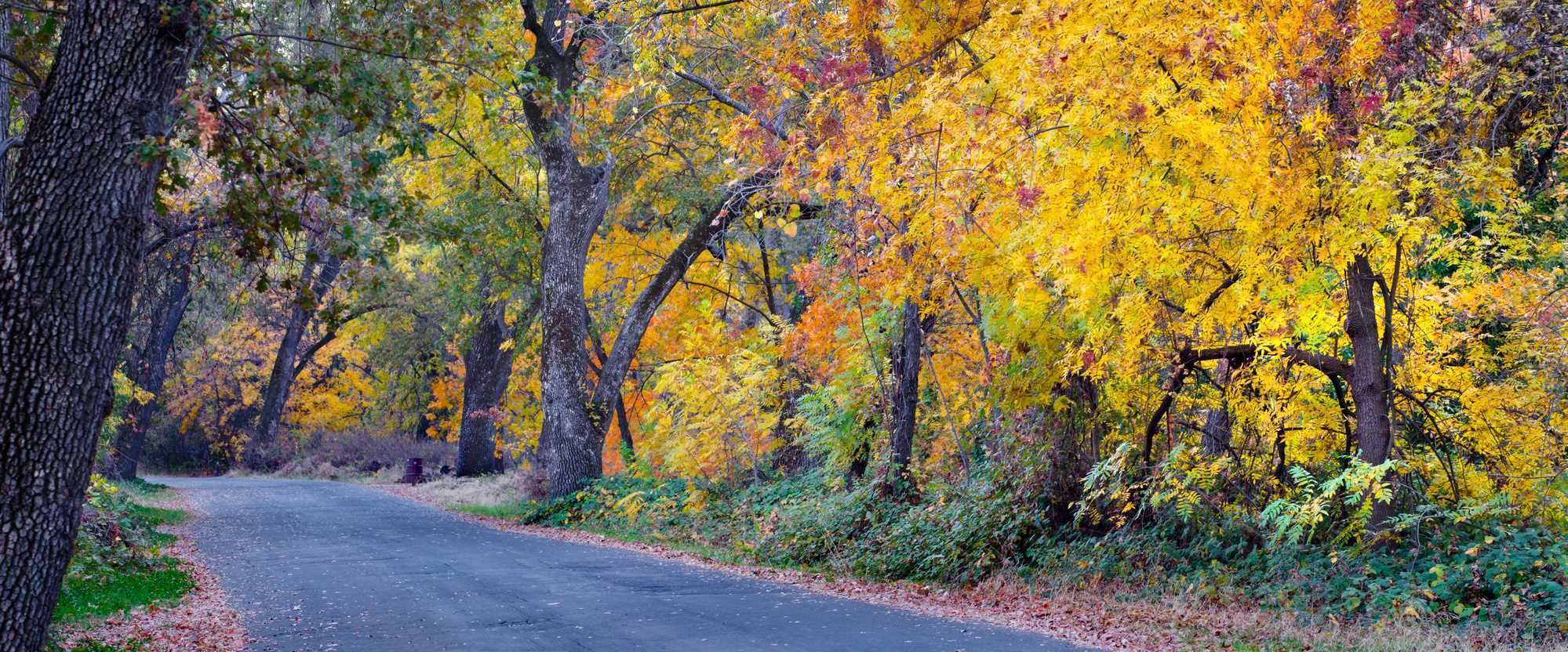 Brampton vs. Mississauga: Which City Is Right for Your Next Home?